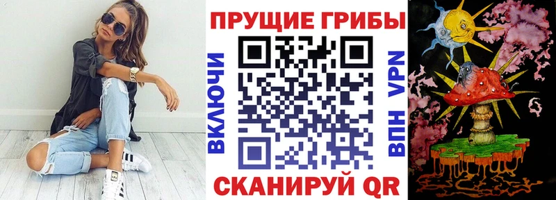 Псилоцибиновые грибы прущие грибы  купить наркотик  Железногорск 