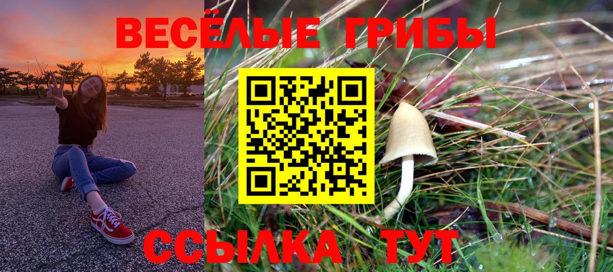 Железногорск  Псилоцибиновые грибы мухоморы  Вход с VPN 