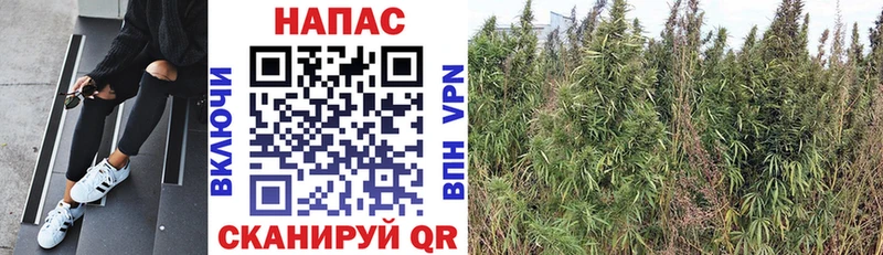 даркнет сайт  Железногорск  гидра зеркало  Бошки марихуана White Widow 